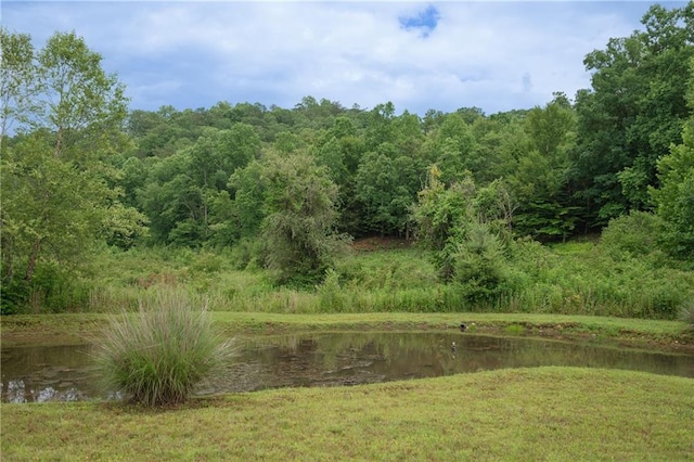 view of local wilderness with a water view