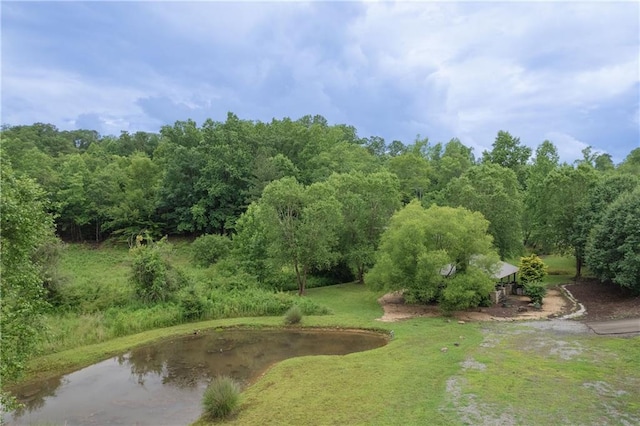 view of home's community featuring a water view