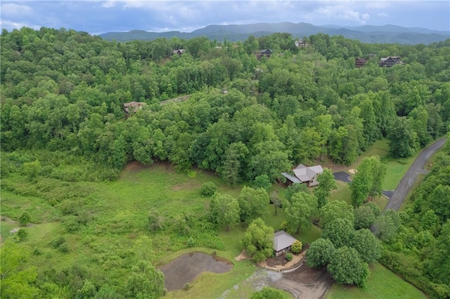 drone / aerial view featuring a mountain view