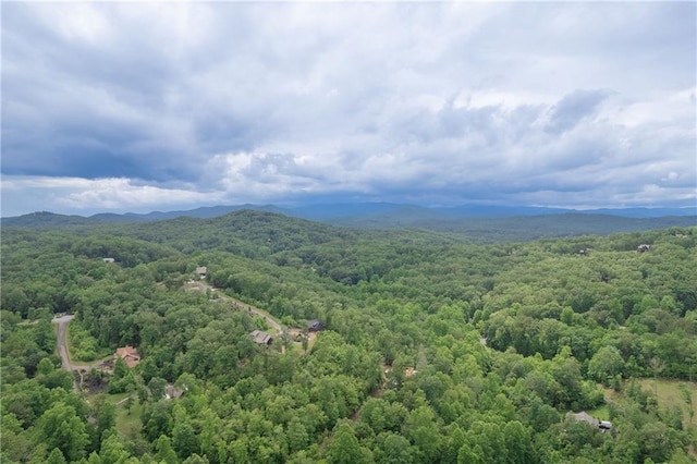 drone / aerial view with a mountain view