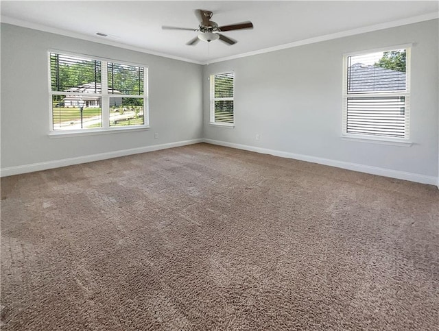 spare room with ceiling fan, carpet floors, and ornamental molding