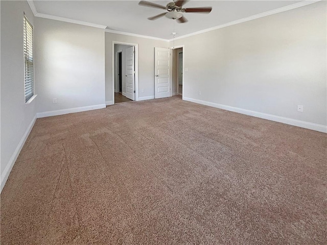 unfurnished bedroom with carpet flooring, ceiling fan, and ornamental molding