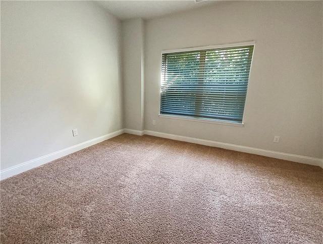 empty room featuring carpet