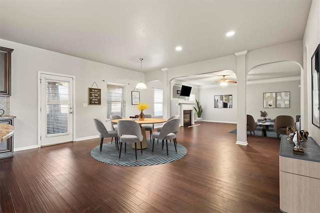 dining area featuring ceiling fan and dark hardwood / wood-style flooring