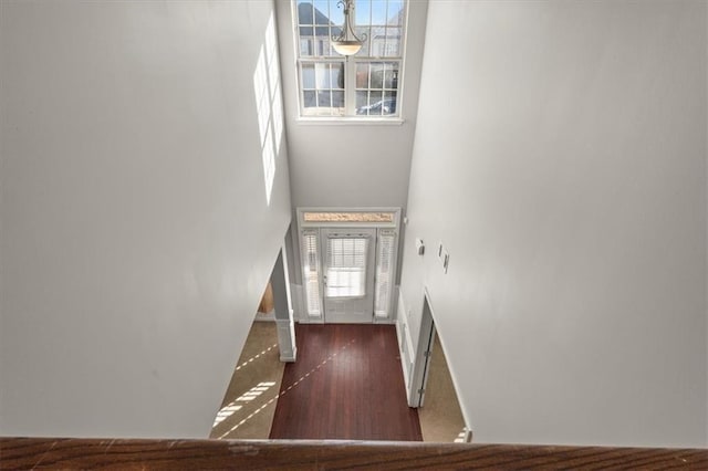 entrance foyer featuring dark wood-type flooring and a towering ceiling