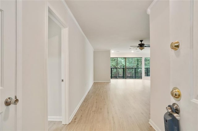 interior space with light hardwood / wood-style flooring, ceiling fan, and crown molding