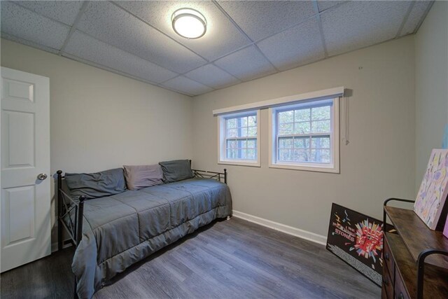 interior space featuring a drop ceiling and hardwood / wood-style flooring