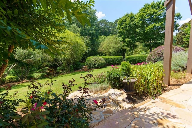 130 Hamilton Way, Roswell, GA 30075 - view of grassy yard