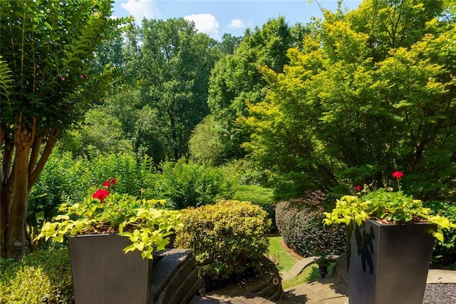130 Hamilton Way, Roswell, GA 30075 - view of yard