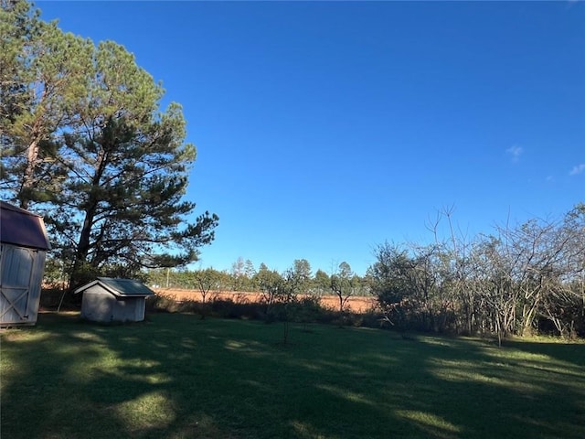 view of yard with an outbuilding