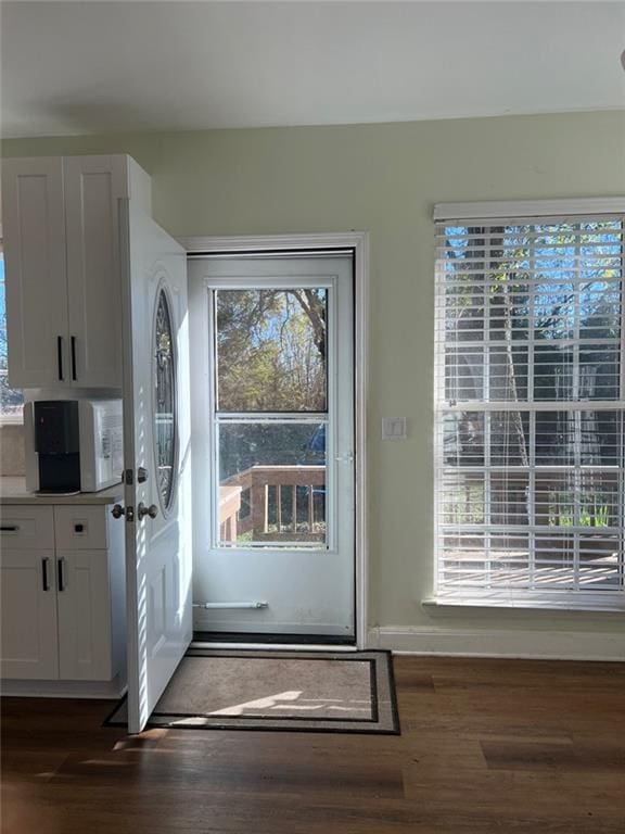 94 Cedar Valley Rd, Montezuma, GA 31063 - doorway to outside featuring dark wood-style flooring and baseboards