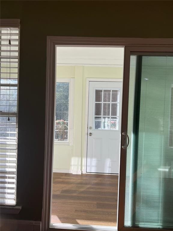 entryway featuring hardwood / wood-style flooring