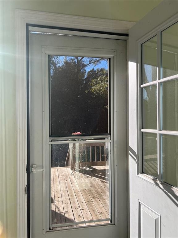 entryway featuring plenty of natural light