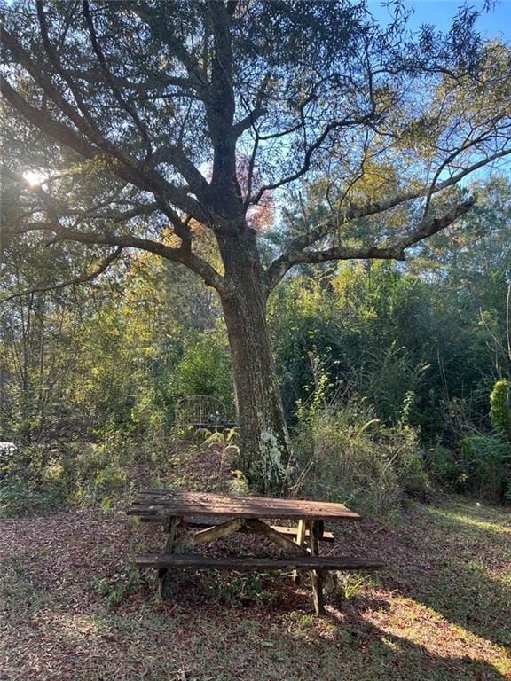 94 Cedar Valley Rd, Montezuma, GA 31063 - view of yard featuring a wooded view