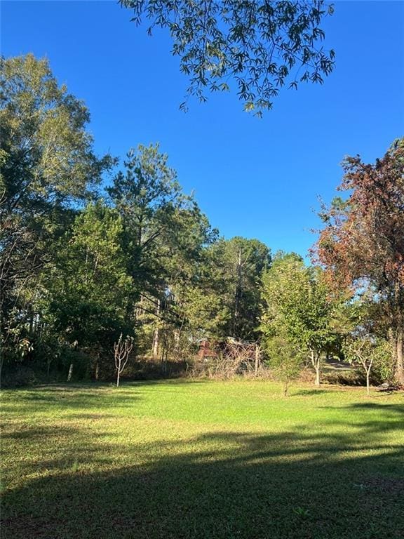 94 Cedar Valley Rd, Montezuma, GA 31063 - view of green lawn