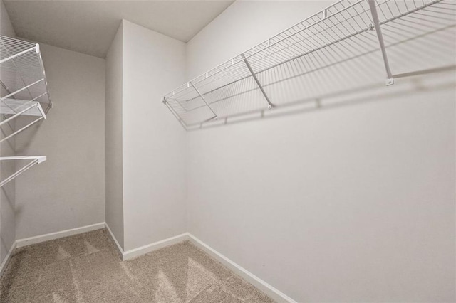96 Quail Bend Way, Dallas, GA 30157 - spacious closet with carpet flooring