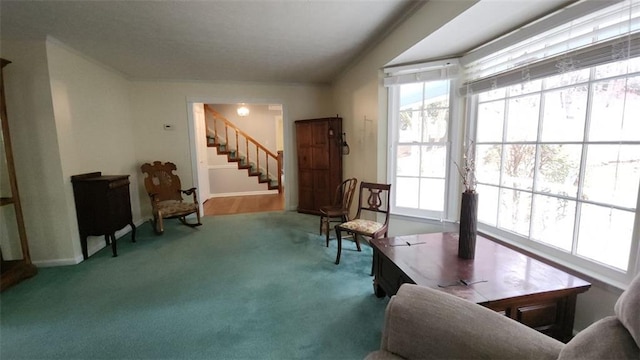 living area with stairway and carpet floors