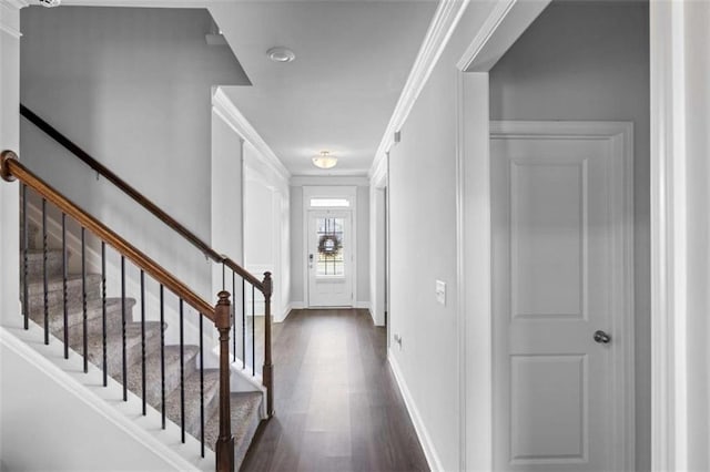 3717 Blue Goose Ln, Loganville, GA 30052 - foyer featuring dark wood-style flooring, ornamental molding, and stairway
