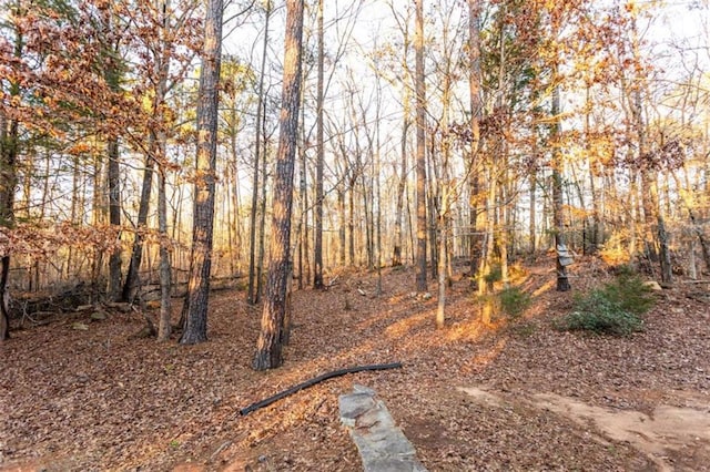 312 Henderson Mill Rd, Mansfield, GA 30055 - view of yard