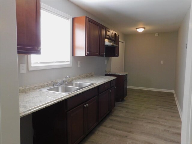 kitchen with hardwood / wood-style flooring, sink, and dark brown cabinets