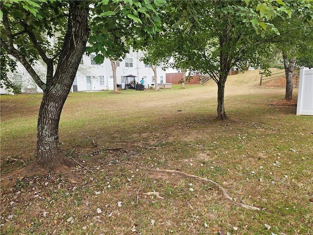 5536 Strathmoor Manor Cir, Lithonia, GA 30058 - view of yard