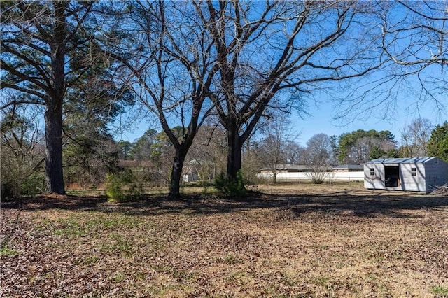 view of yard featuring an outdoor structure and a storage shed