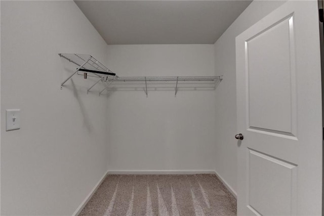 spacious closet featuring light carpet