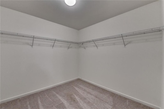 walk in closet with light colored carpet