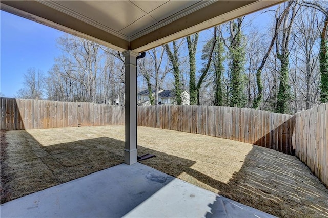 view of yard with a fenced backyard and a patio area