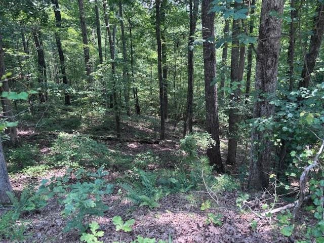 10090 Brazell Rd, Chattahoochee Hills, GA 30213
