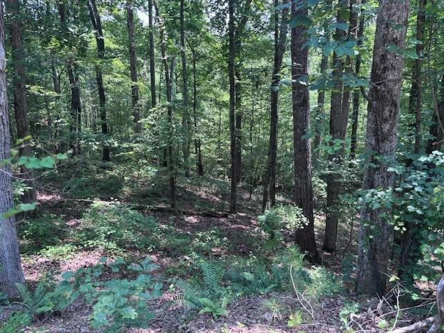 10090 Brazell Rd, Chattahoochee Hills, GA 30213