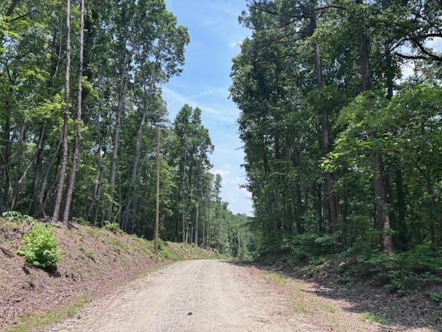 10090 Brazell Rd, Chattahoochee Hills, GA 30213