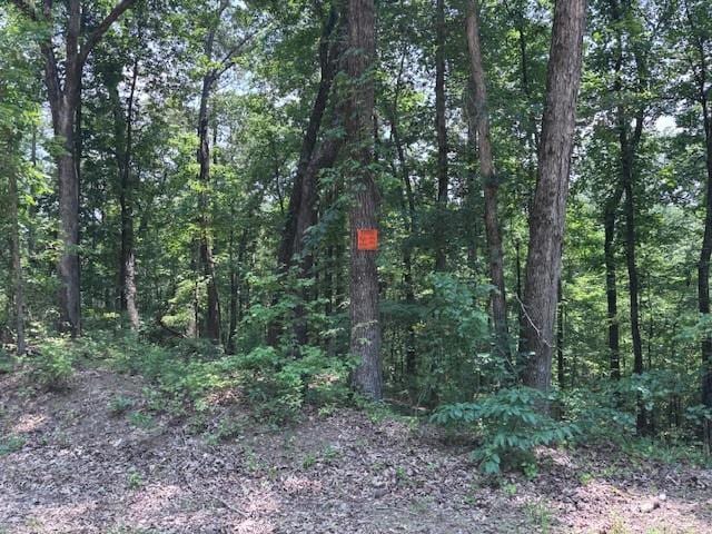 10090 Brazell Rd, Chattahoochee Hills, GA 30213