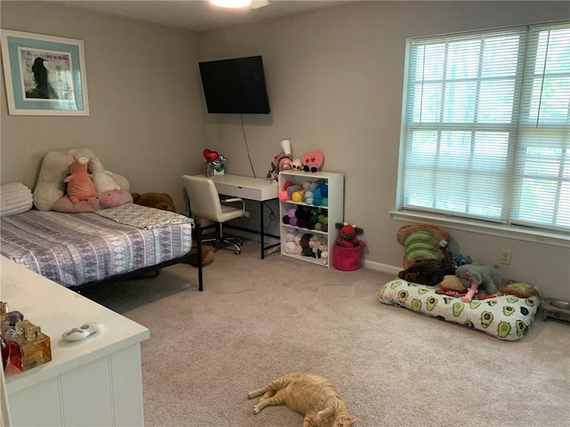 bedroom featuring carpet