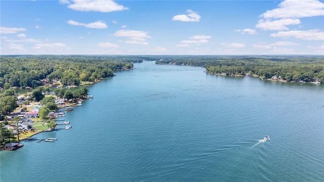 drone / aerial view featuring a water view and a view of trees