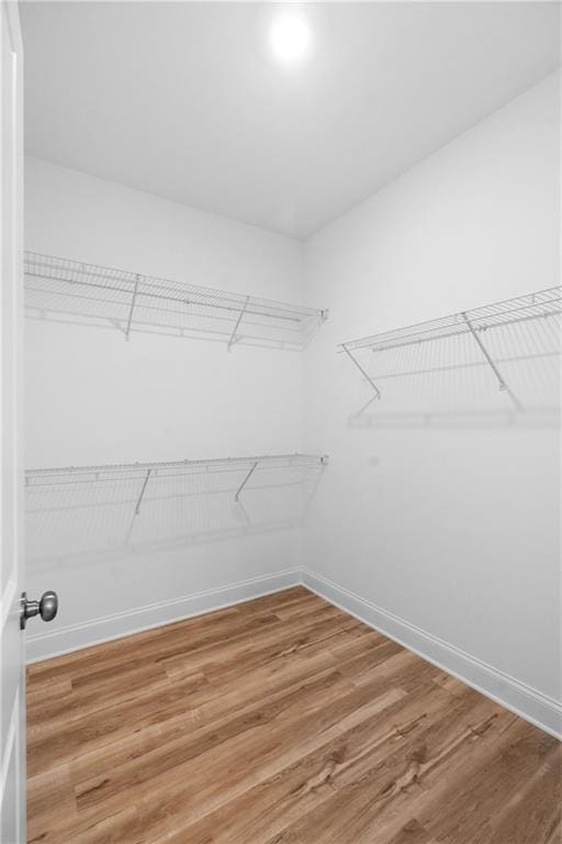 spacious closet with wood finished floors