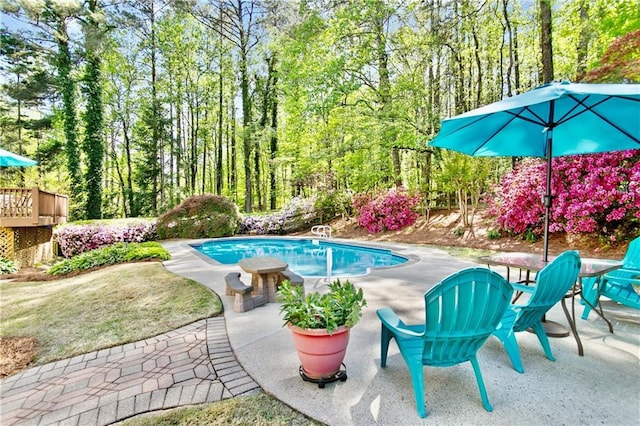 outdoor pool with a patio