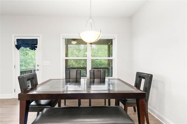 138 Daffodil Lndg, Dallas, GA 30132 - dining room featuring plenty of natural light, wood finished floors, and baseboards