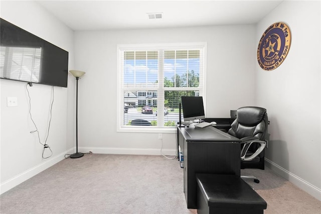 138 Daffodil Lndg, Dallas, GA 30132 - carpeted office space with baseboards