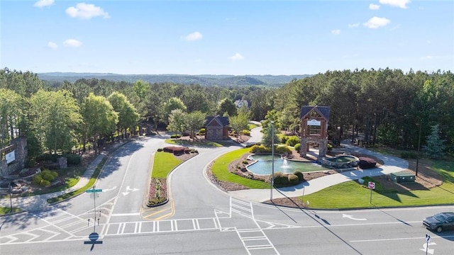 138 Daffodil Lndg, Dallas, GA 30132 - bird's eye view of a forest