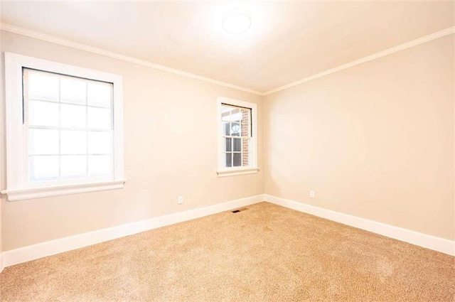 carpeted empty room featuring crown molding