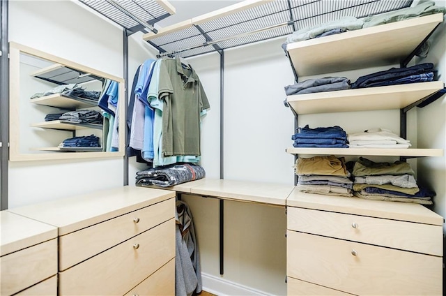 view of spacious closet