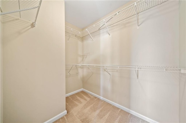 spacious closet with carpet