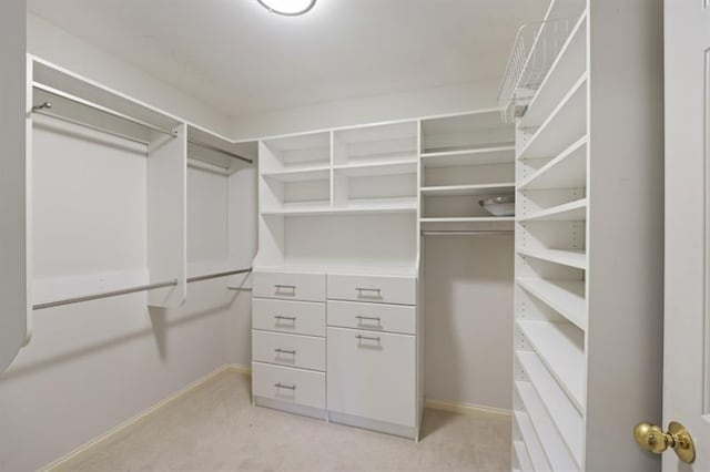 view of walk in closet