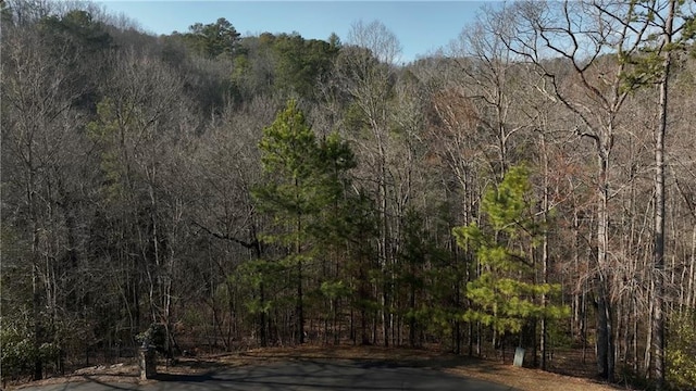 Listing photo 3 for 00 Tumbling Waters Ln, Ellijay GA 30540