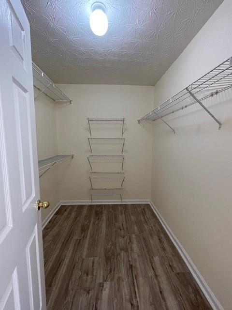 spacious closet with dark hardwood / wood-style floors