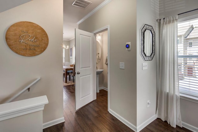 corridor with dark wood-type flooring and ornamental molding