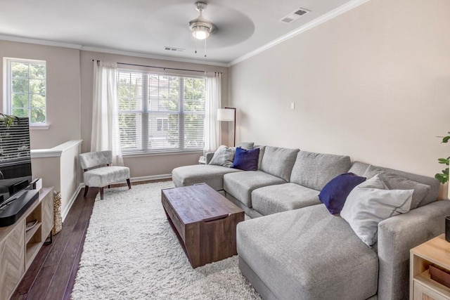 living room with crown molding, dark wood-type flooring, and ceiling fan