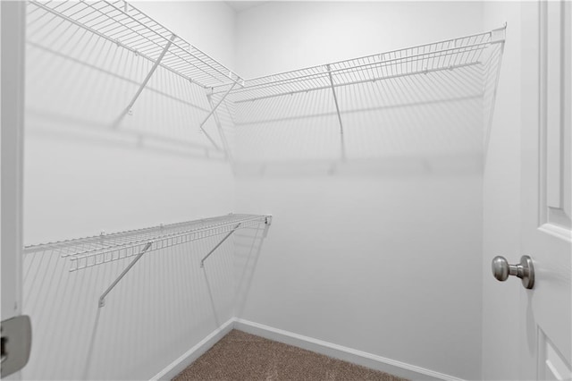 walk in closet with dark carpet