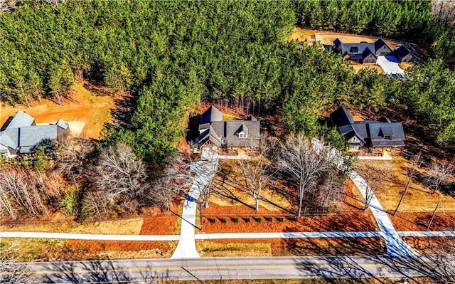 136 Rainey Rd, Temple, GA 30179 - aerial view of property and surrounding area